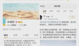 娱乐圈很真实的爆料是什么意思,幕后真相大曝光