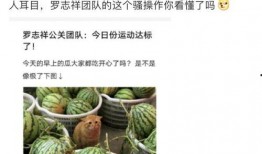 网红吃瓜网站免费观看,揭秘娱乐圈幕后真相！